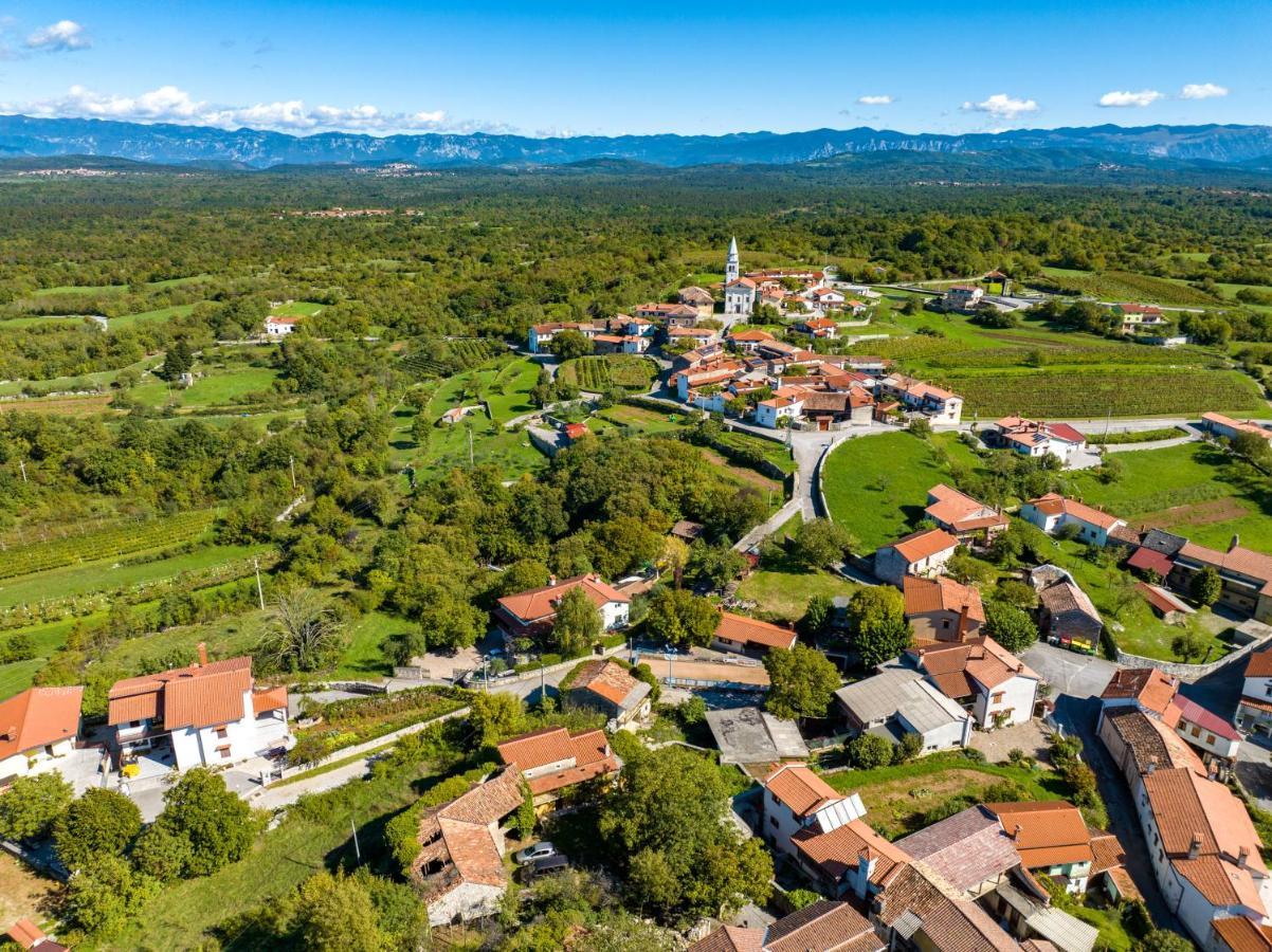 Karst House Zan Pliskovica With Private Pool Villa Dutovlje Екстериор снимка