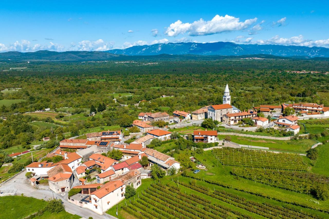 Karst House Zan Pliskovica With Private Pool Villa Dutovlje Екстериор снимка