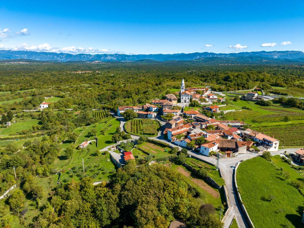 Karst House Zan Pliskovica With Private Pool Villa Dutovlje Екстериор снимка